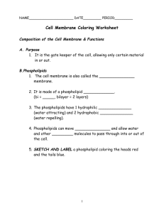 Cell Membrane Coloring Worksheet Composition of the Cell