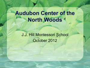 audubon - JJ Hill Montessori