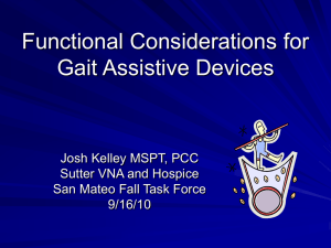 Functional Considerations for Gait Assistive Devices