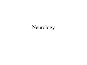 Neurology