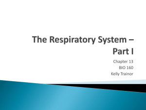 Respiratory System F10