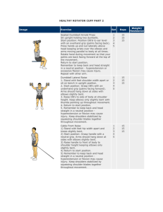HEALTHY ROTATOR CUFF PART 2 Image Exercise Set Reps