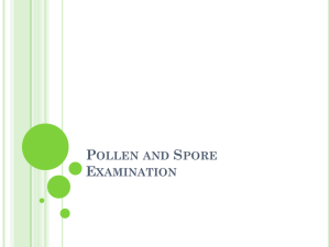 Pollen and Spore information