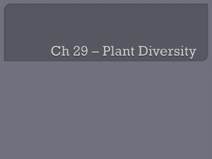 Plant diversity powerpoint ch_29__plant_diversity1