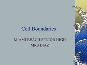 Cell membrane and Transport - Miami Beach Senior High School