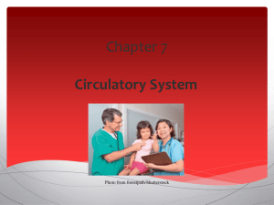 Evolve Ch 7 Circulatory