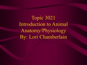 Topic 3021 Introduction to Animal Anatomy/Physiology By: Lori