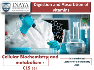 7. Digestion and absorbtion of vitamins and minerals