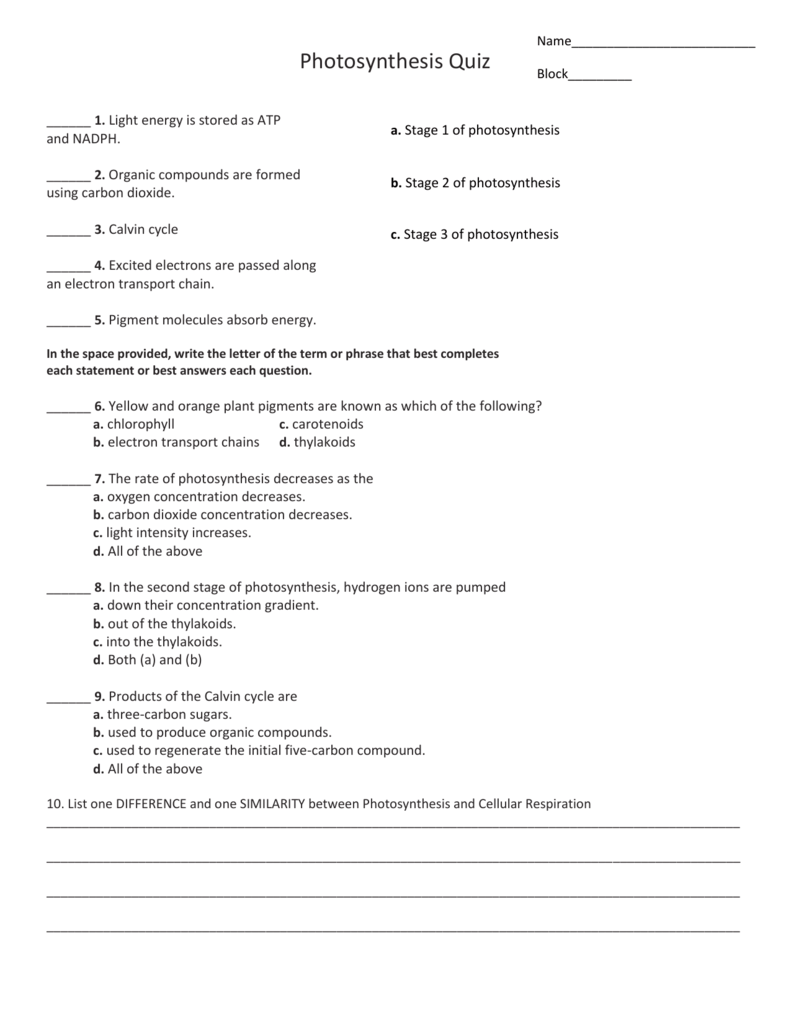 Photosynthesis Quiz