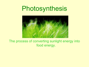 Photosynthesis Powerpoint Notes