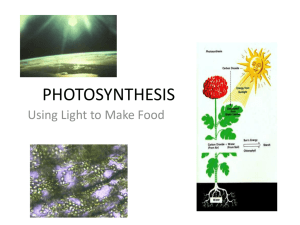 photosynthesis - Beachwood City Schools