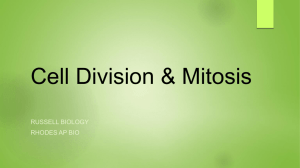 Cell Division & Mitosis