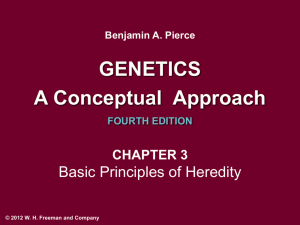 Pierce Genetics: A Conceptual Approach 3e