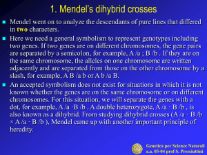 Dihybrid crosses