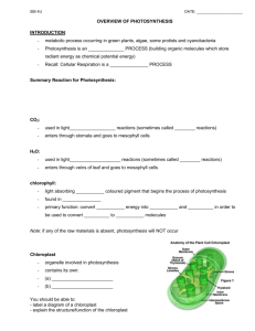 Photosynthesis Overview modified
