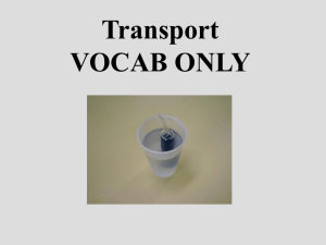 Transport vocab