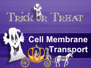 Cell Membrane Transport