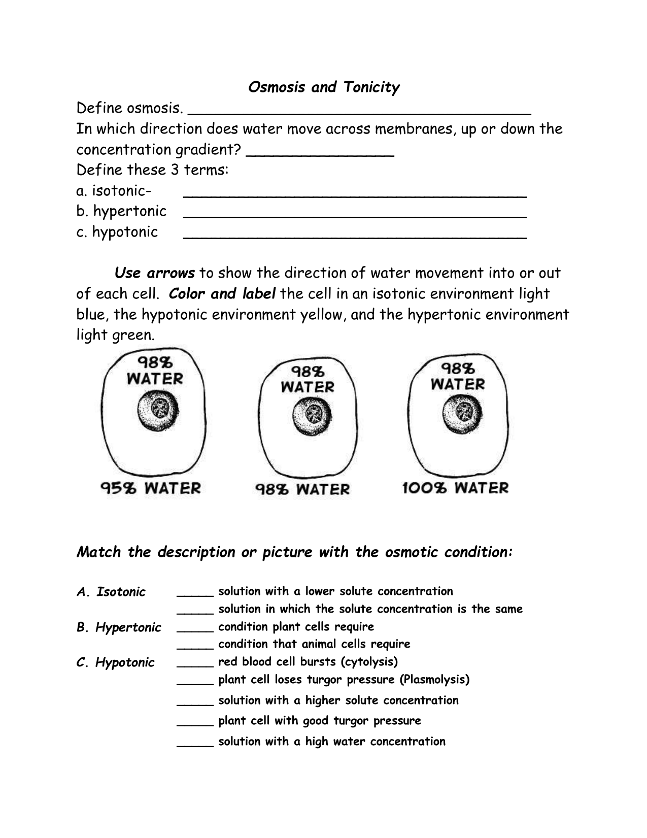 Osmosis And Tonicity Worksheet