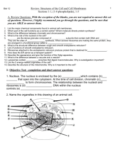 Cell Review