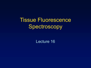 Tissue Fluorescence Spectroscopy