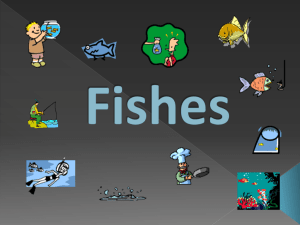 Fishes Notes