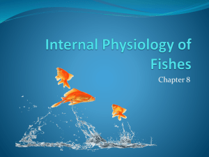 Internal Physiology of Fishes