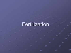 Fertilization