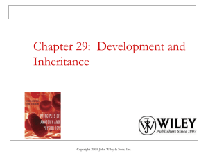 Chapter 29: Development and Inheritance