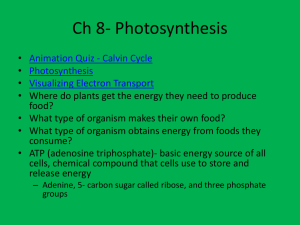 Ch 8- Photosynthesis