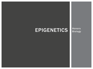 Epigenetics Notes