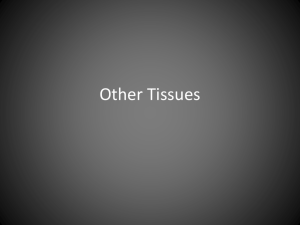 Other Tissues