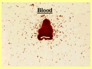 Blood Spatter PPT #2