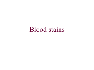 Types of blood stain