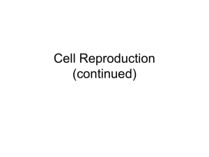 A18-Cell Reproduction & Meiosis