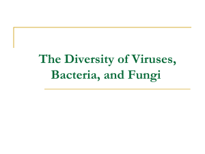 Chapter 21: Prokaryotes and Viruses - Bio-bull