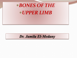 1-Bones of upper limb