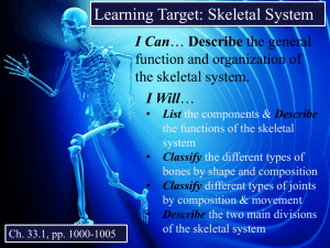 Learning Target: Skeletal System