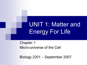Chapter 1 – Micro-universe of the Cell ()