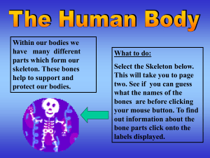 The Human Body - Primary Resources