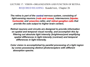 LECTURE17.Vision