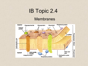 IB Topic 2 - Wild about Bio