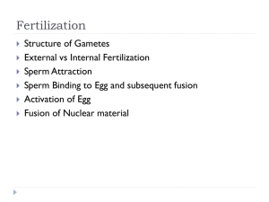 Powerpoint L06 Fertilization