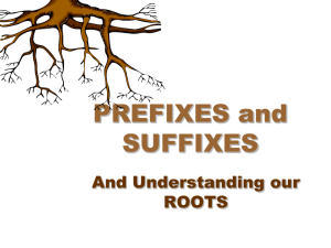 PREFIXES and SUFFIXES