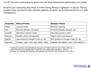 Proteins part 2 ppt