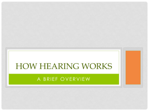 Hearing and Vision PPT