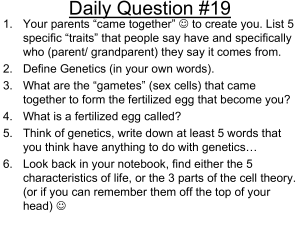 Genetics - Mr. McCabe