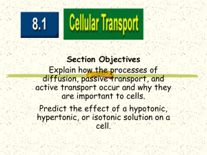 Difussion/Osmosis/Active and Passive Transport