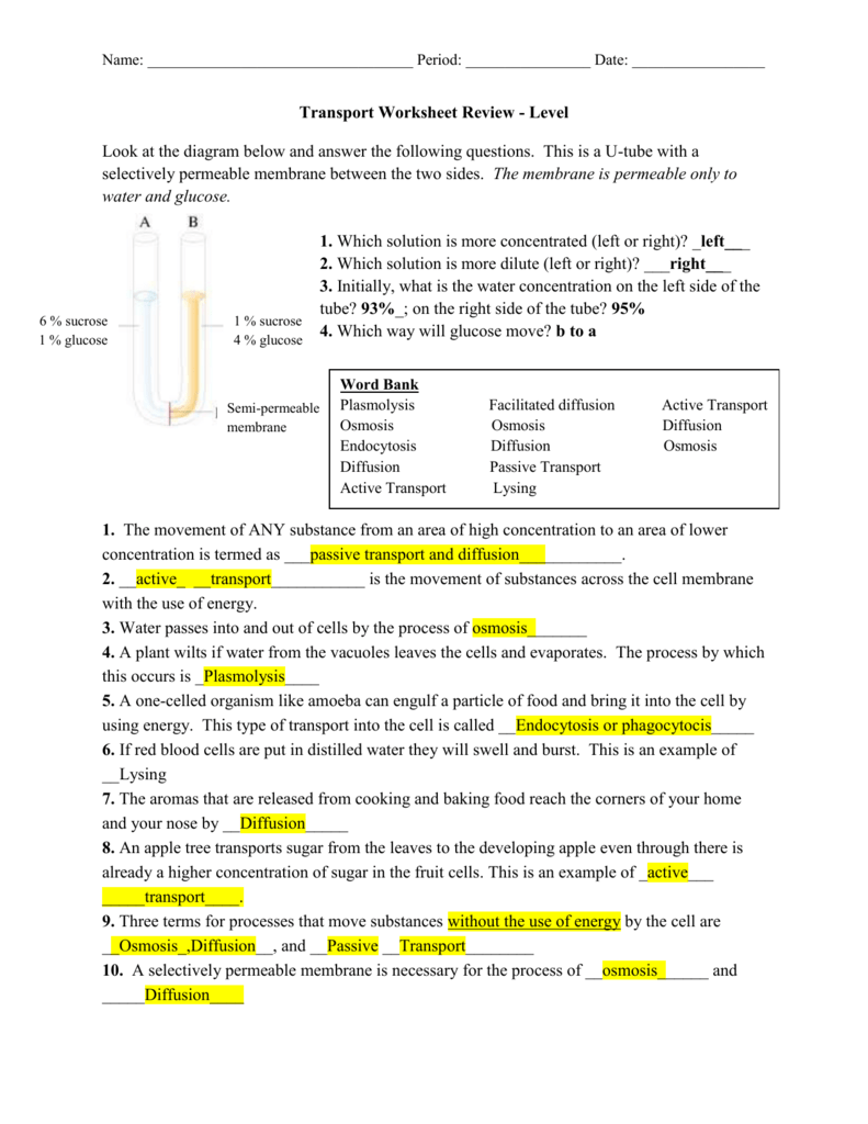 Diffusion Osmosis And Active Transport Worksheet Answer Key Regarding Cellular Transport Worksheet Answer Key