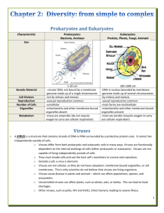 Prokaryotes and Eukaryotes