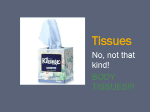 Tissues - Dickinson ISD